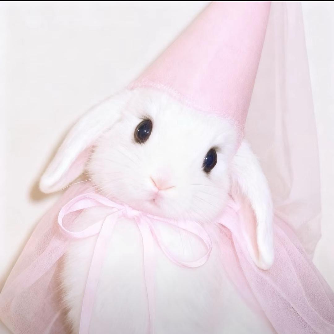 浏阳依依呀🎆🎆