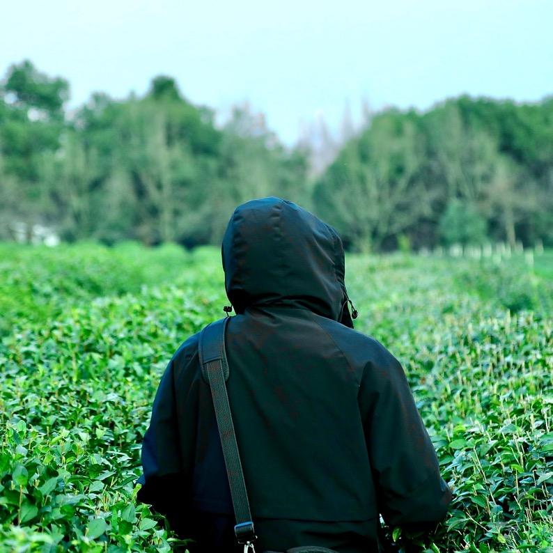 曹福强📸