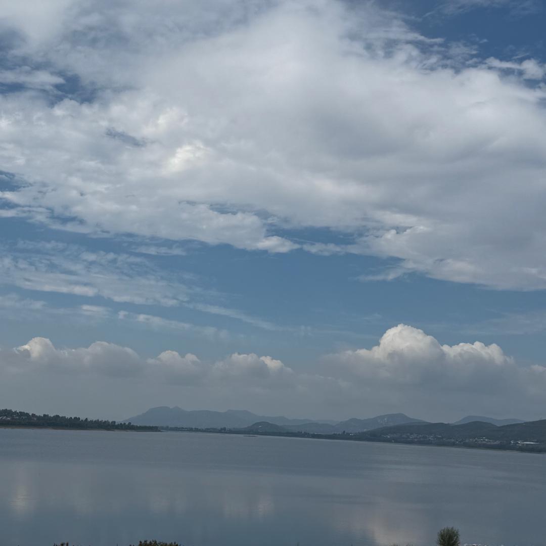 💕☘️田田🎃