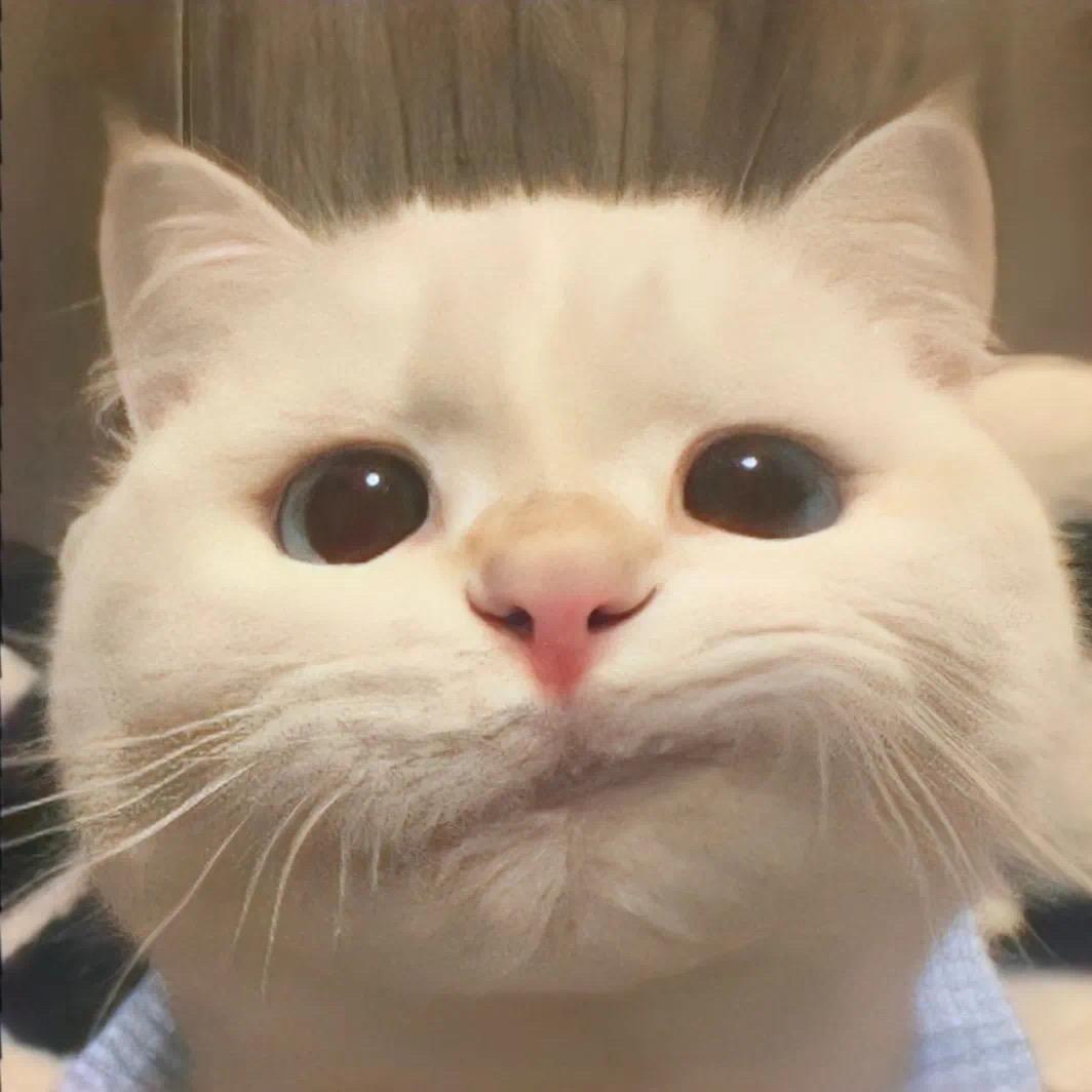 某加一