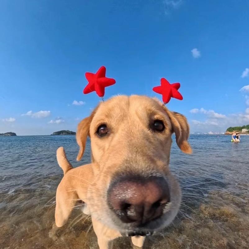 一凡