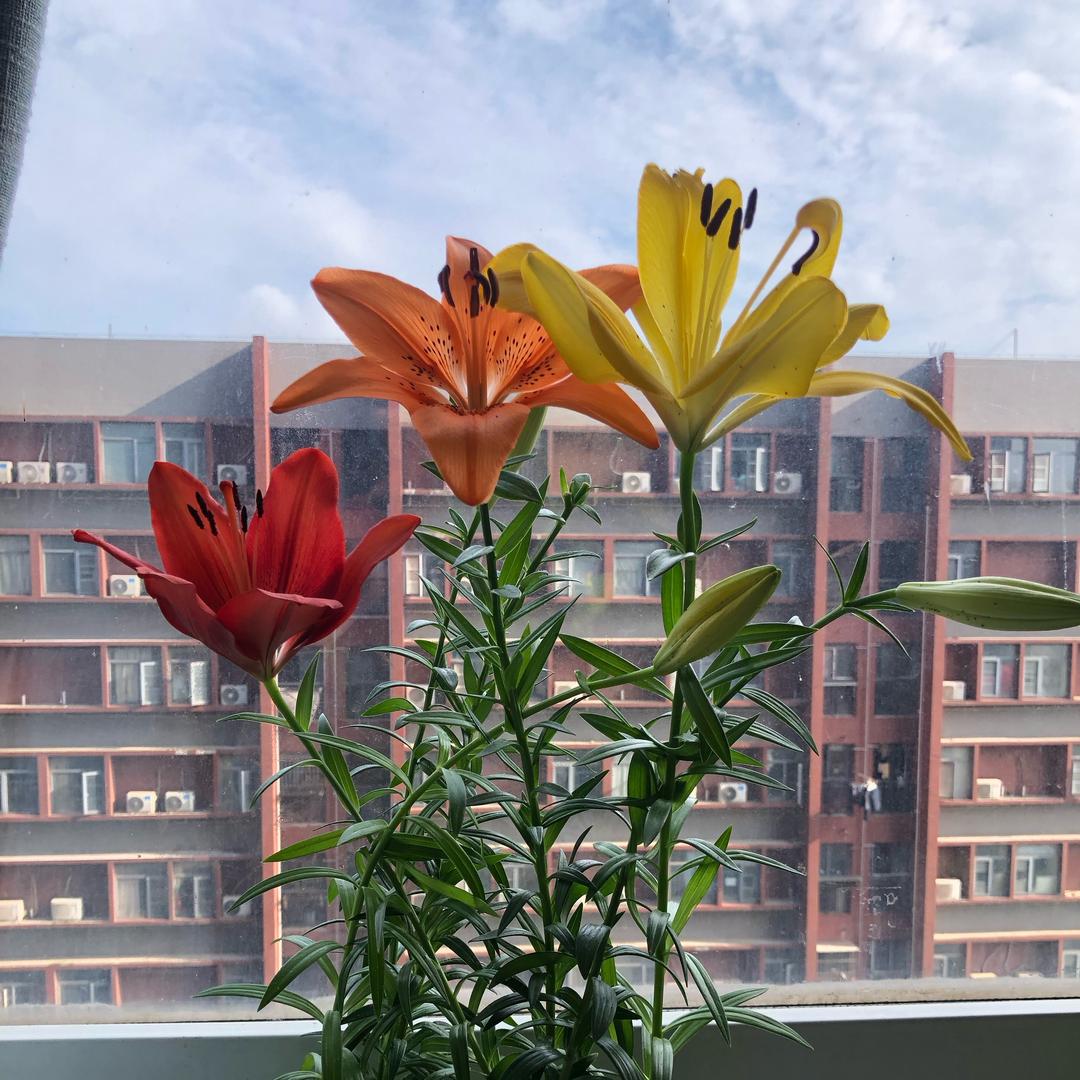 我还是我