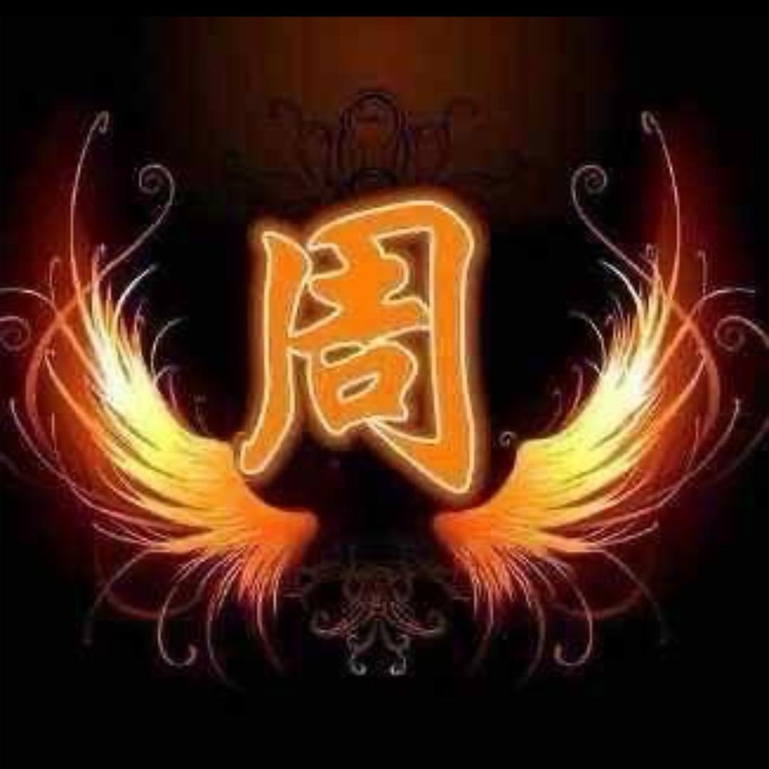 🇨🇳飞行员🇨🇳