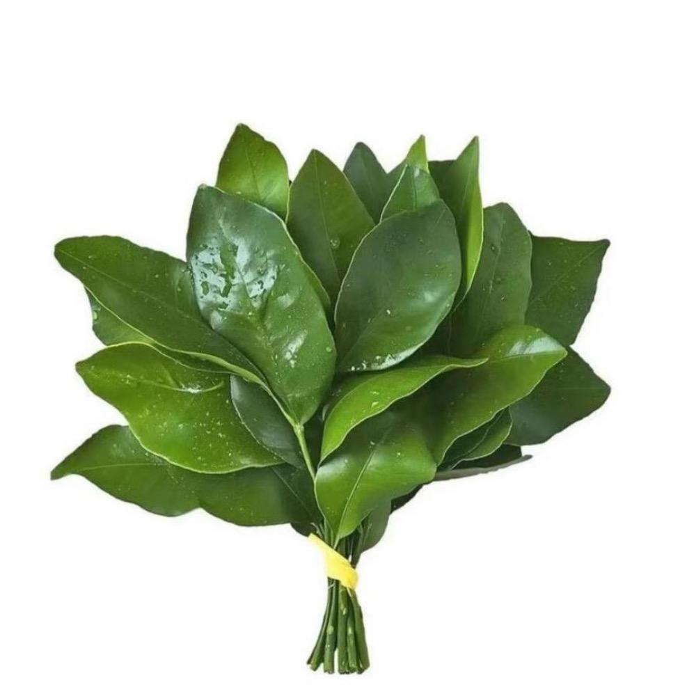 小张anan
