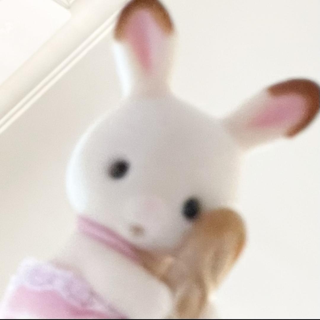 肖1肖🐰