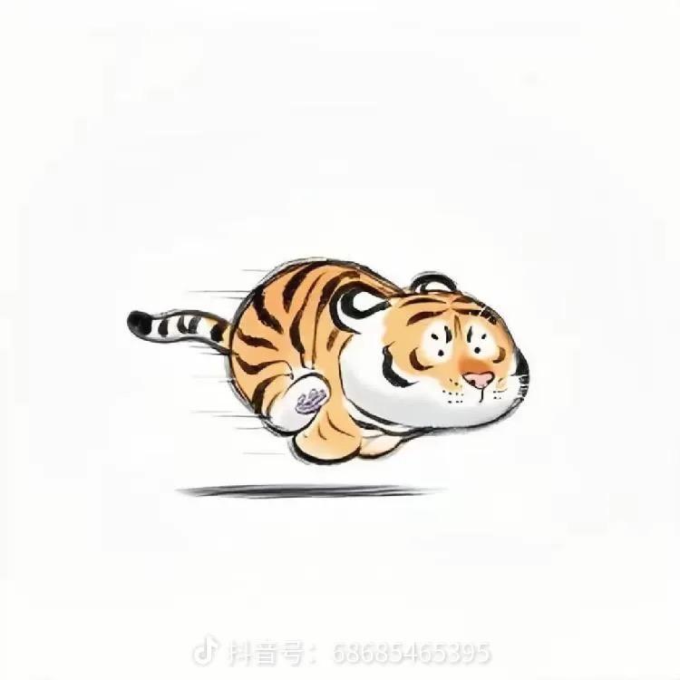 小豹纹🐯