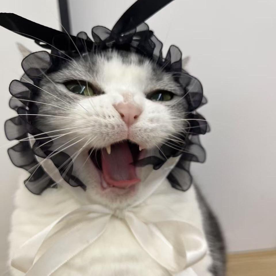 秋红