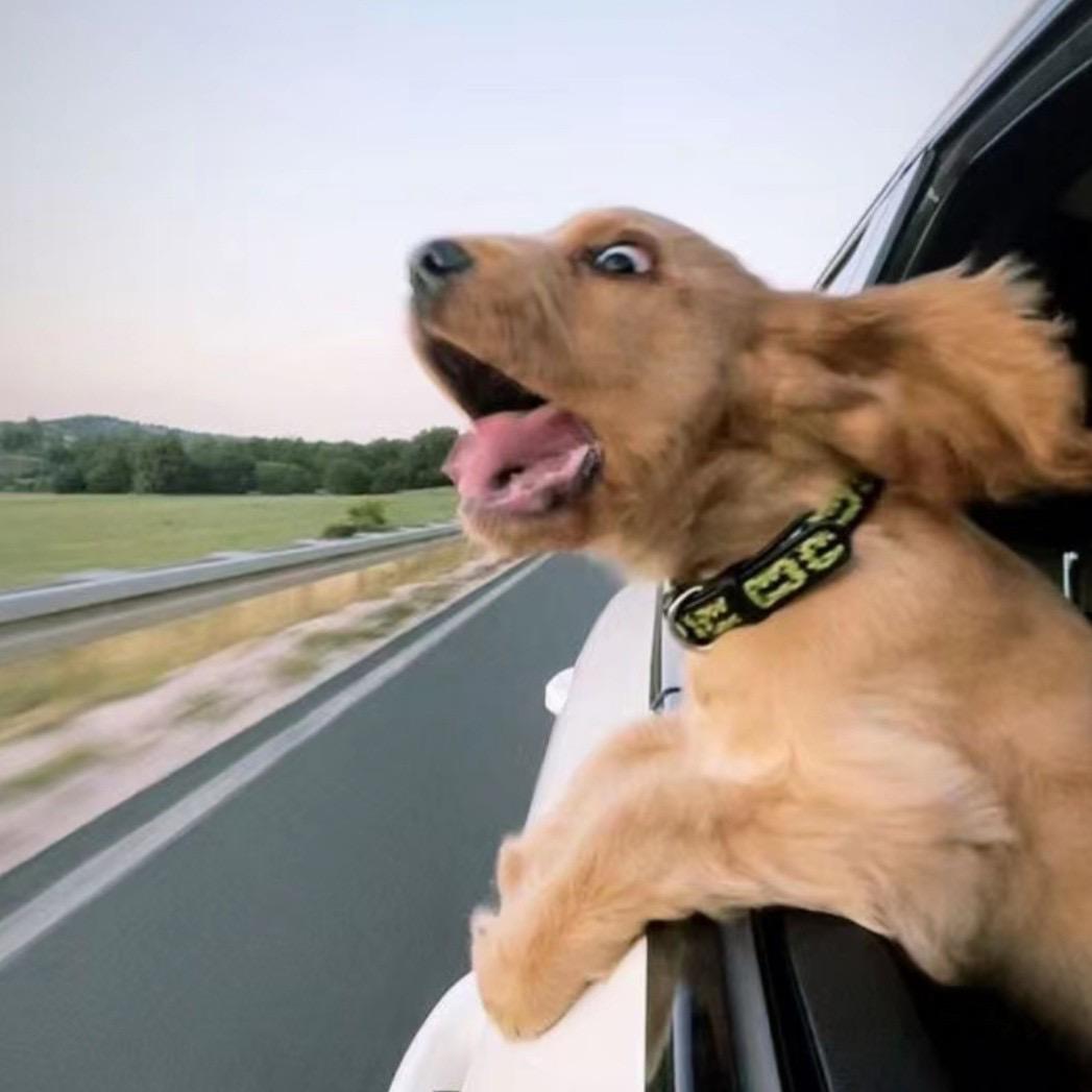 林知媛（外卖皇帝）