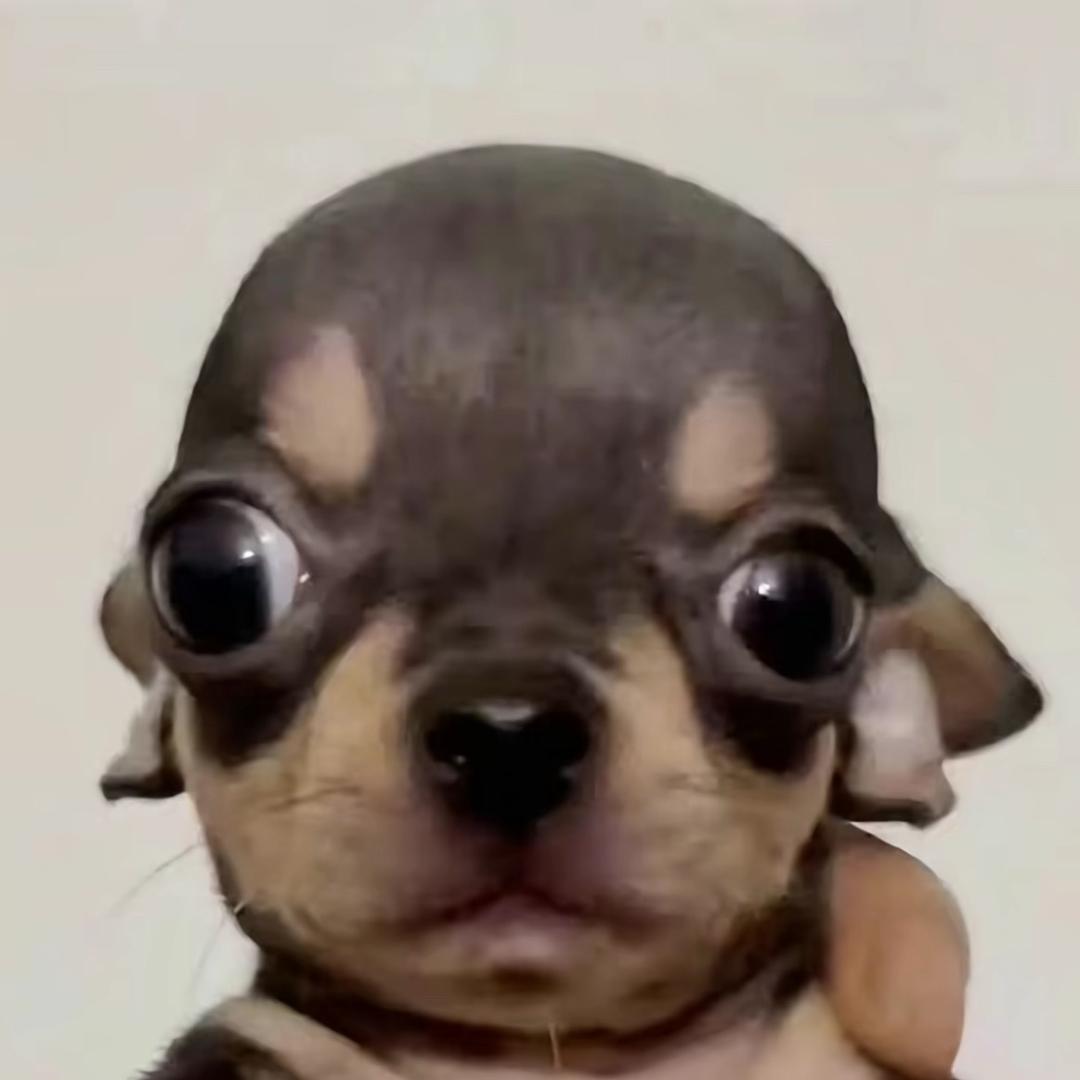 难眠