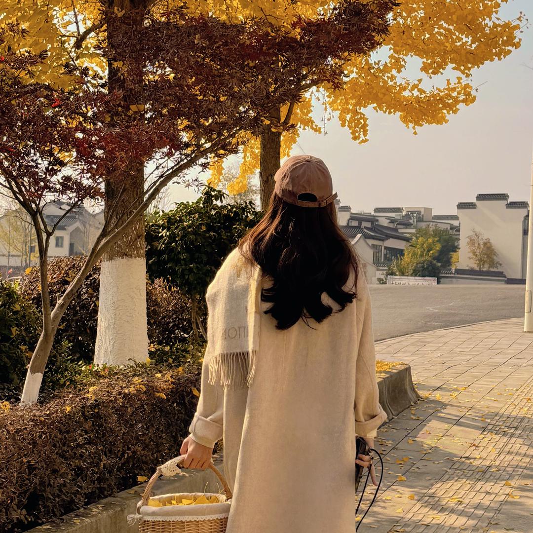 爱吃胡萝卜的兔子🐰🥕