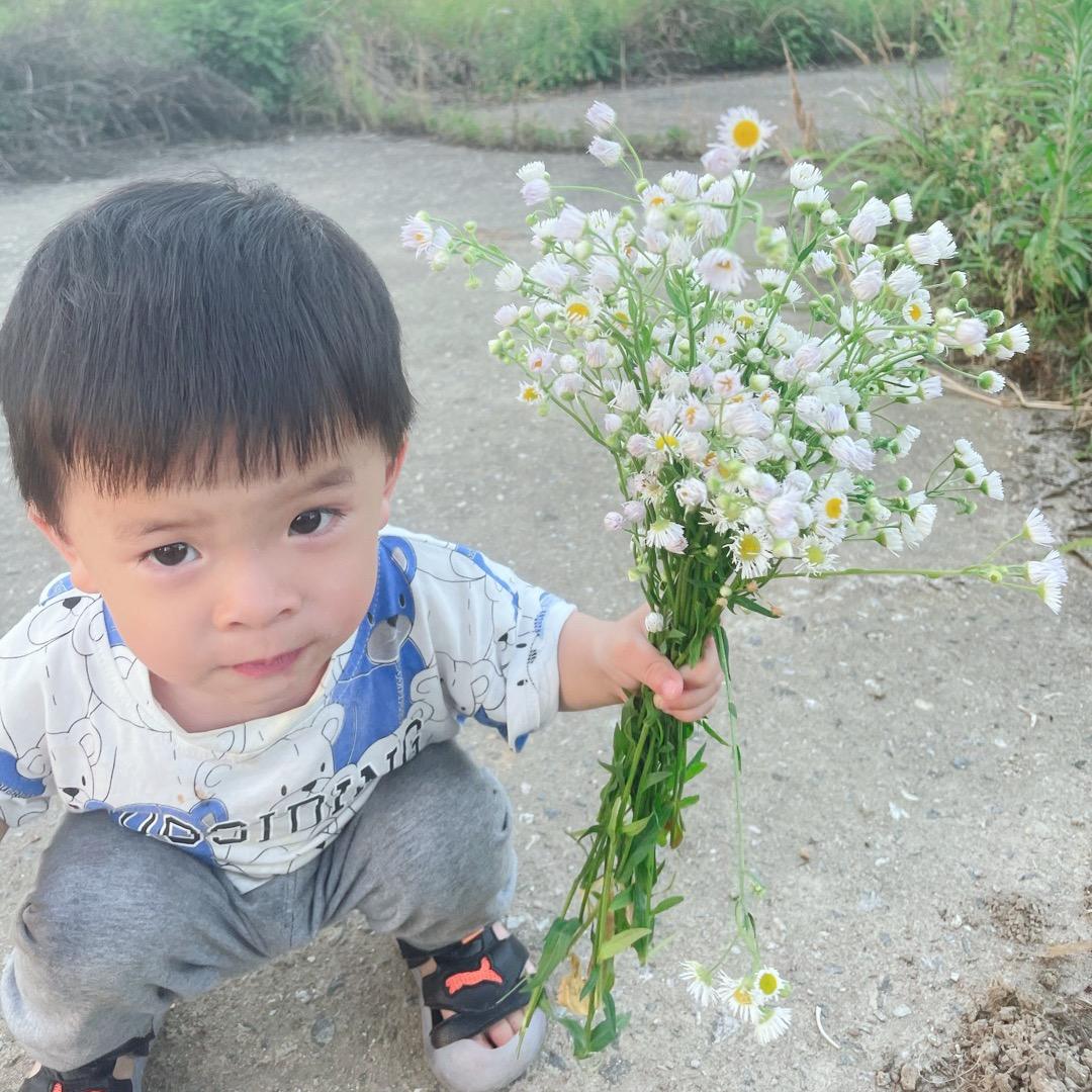 🌵多多🌼水泥黄沙批发与配送
