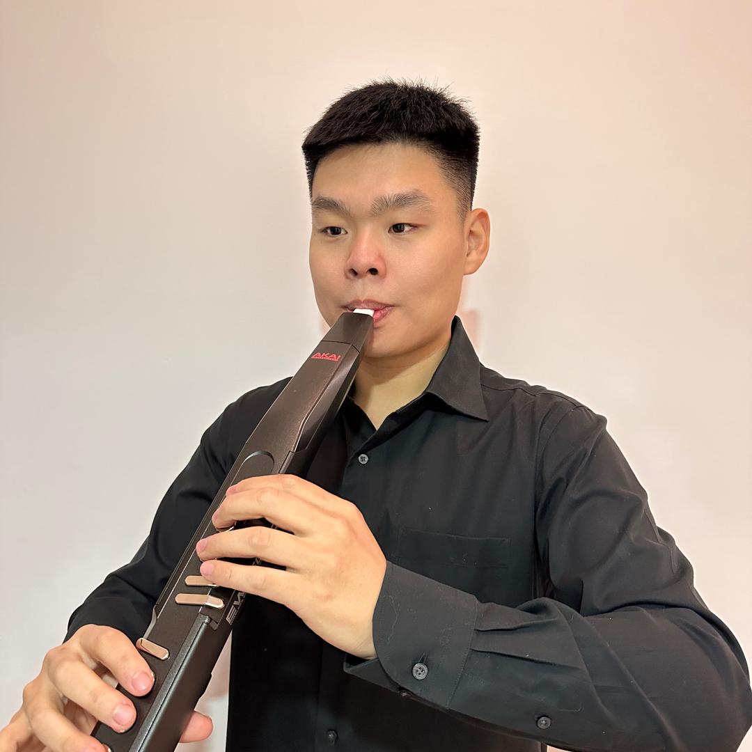 飞鸟电吹管(小宋老师)