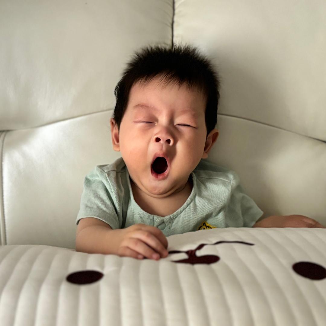 能饮一杯无