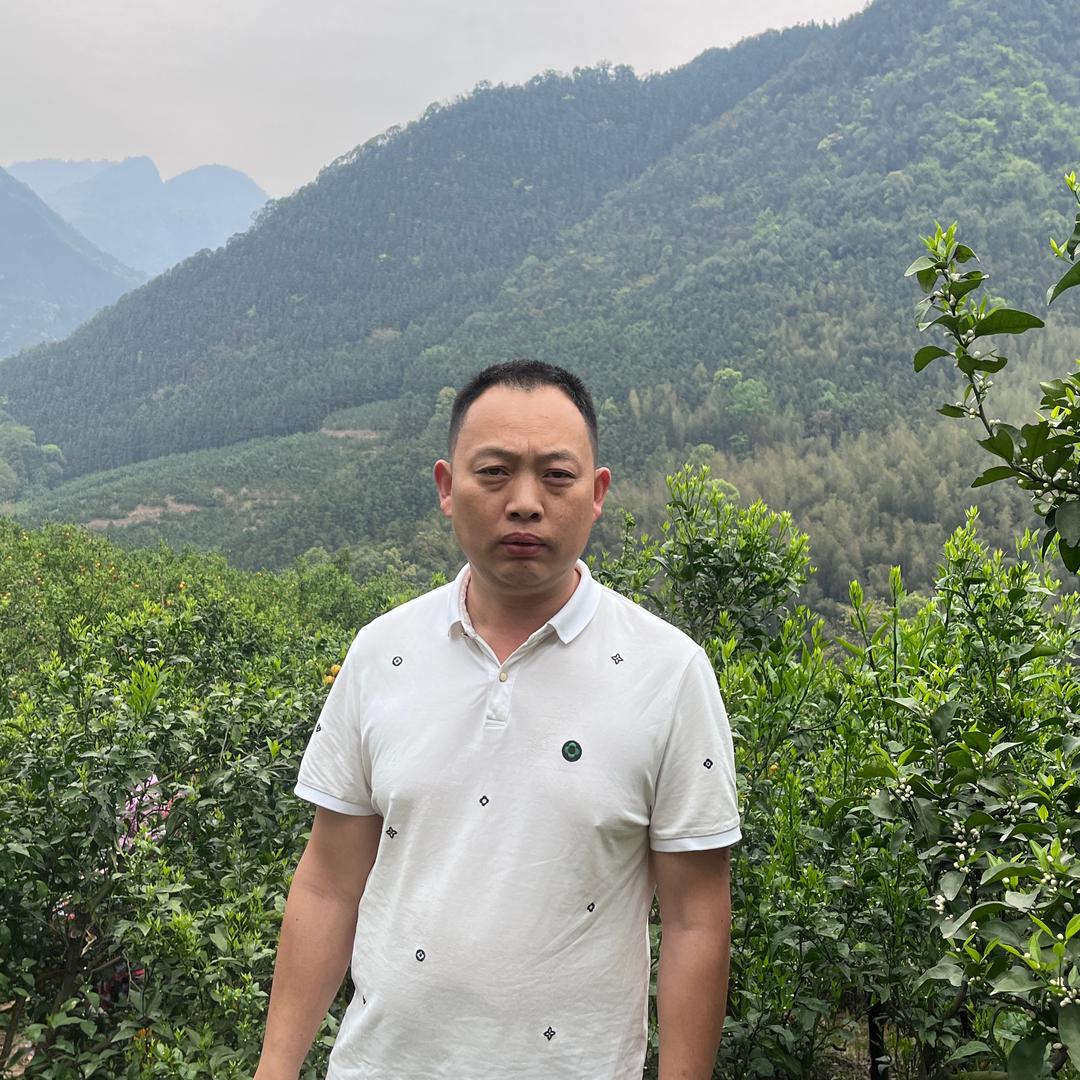 广西三农韦哥（广西纯甜百香果）