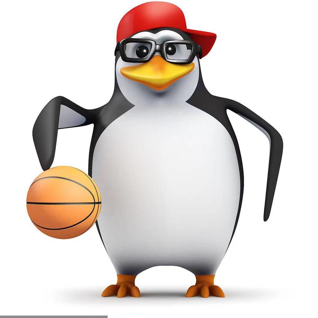 企鹅篮球🏀