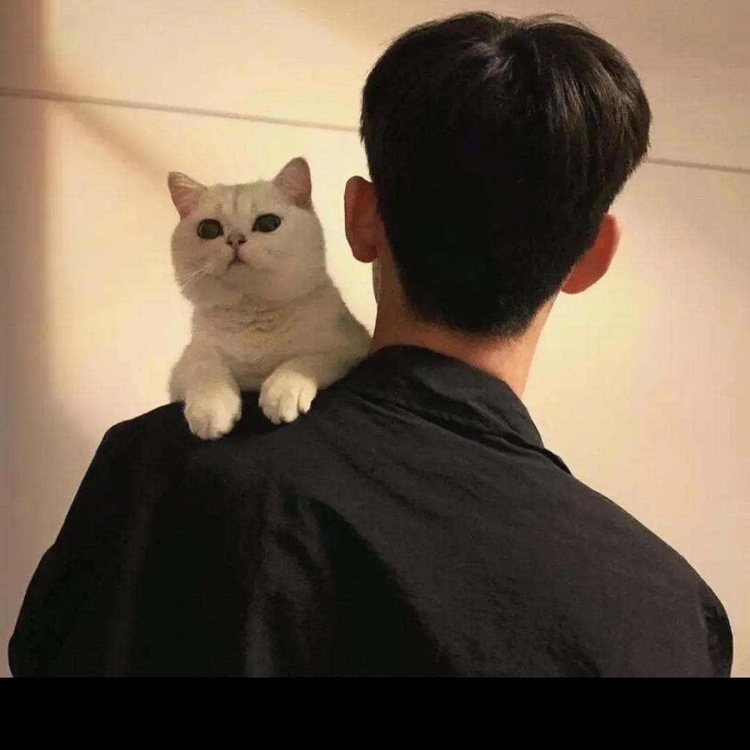 十三