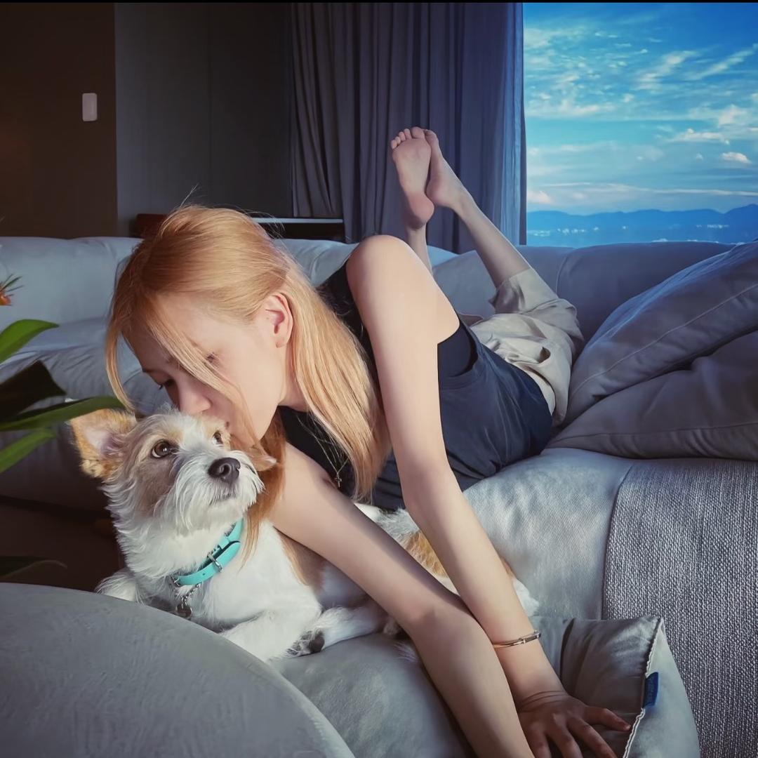 lulu.
