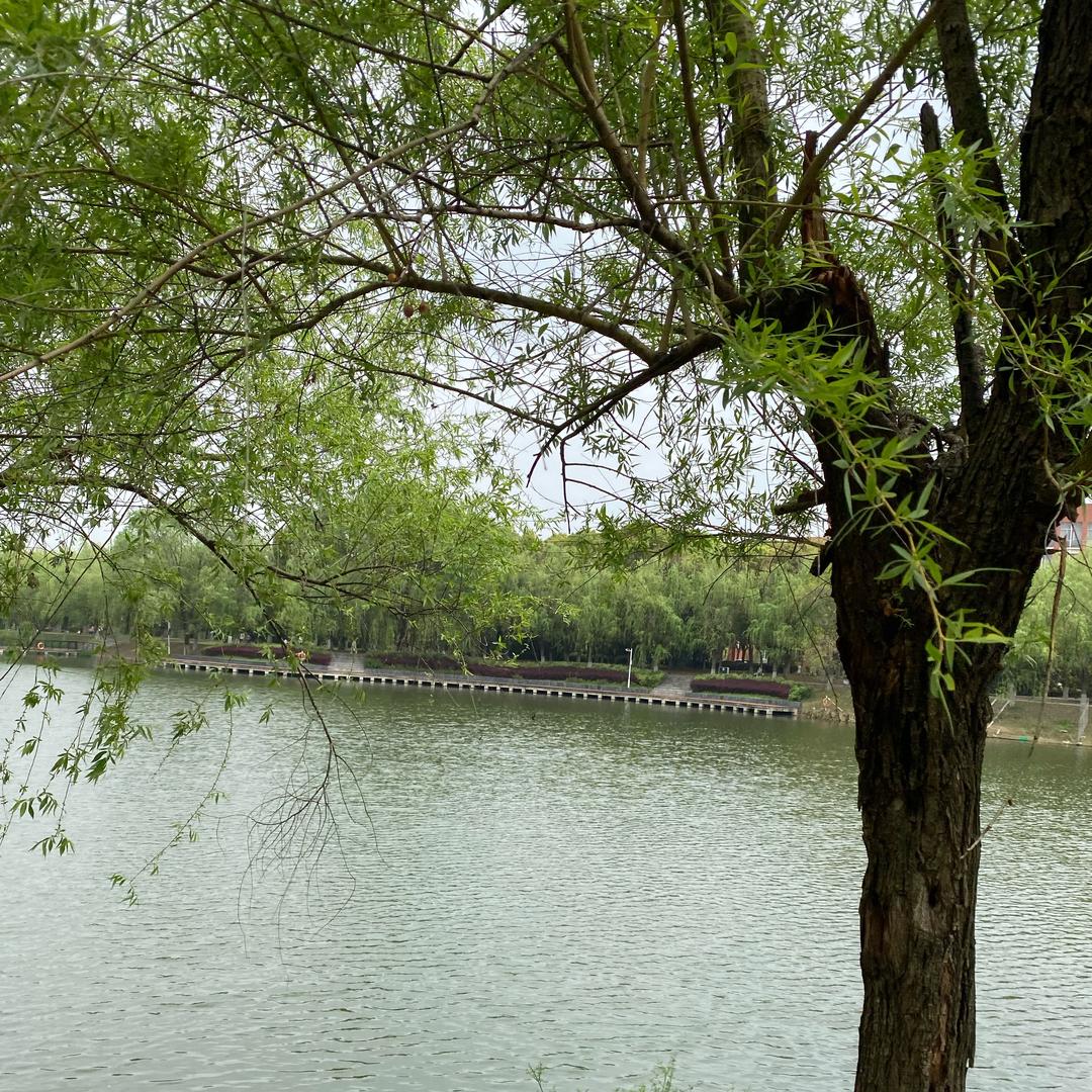 软软糯糯