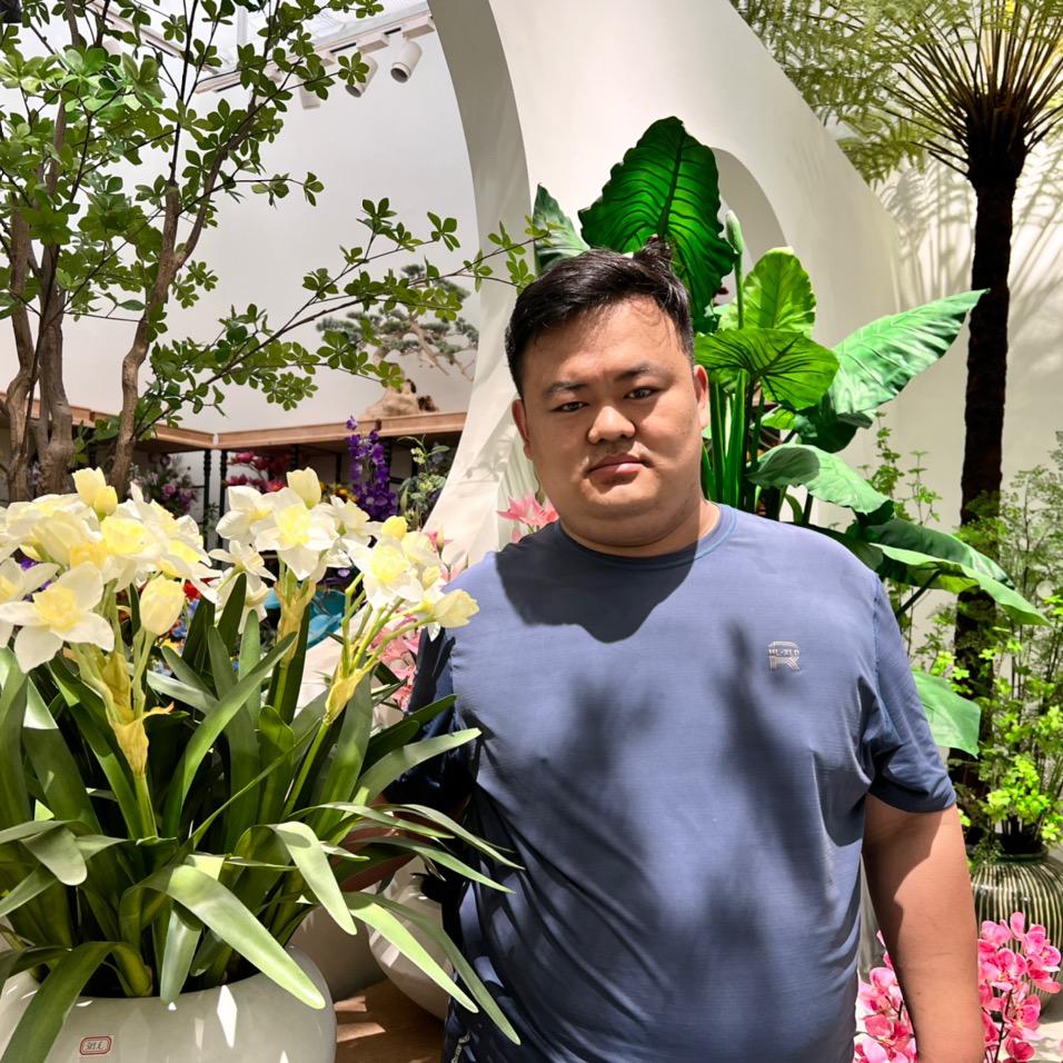 仿真花含阳花语