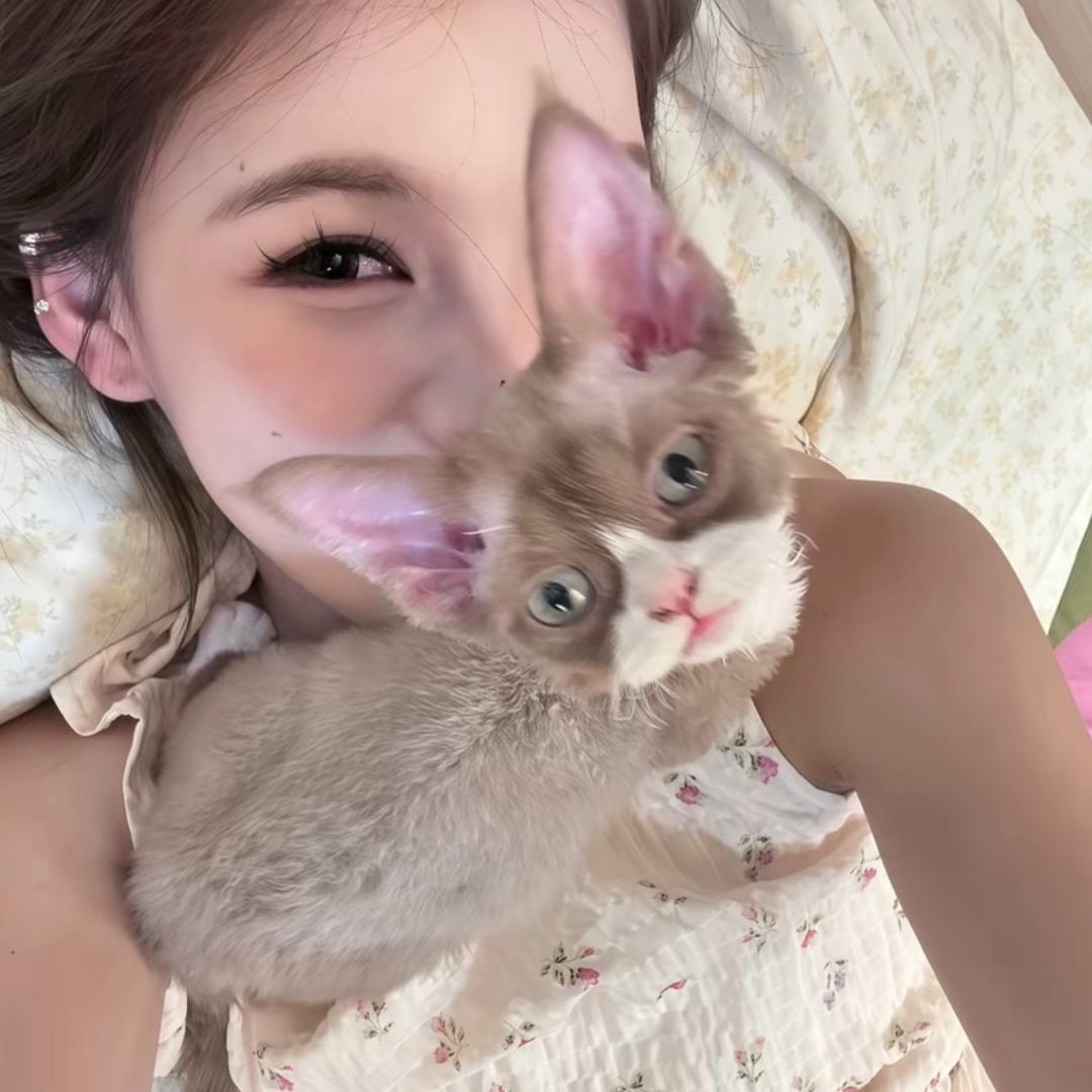 鱼鱼