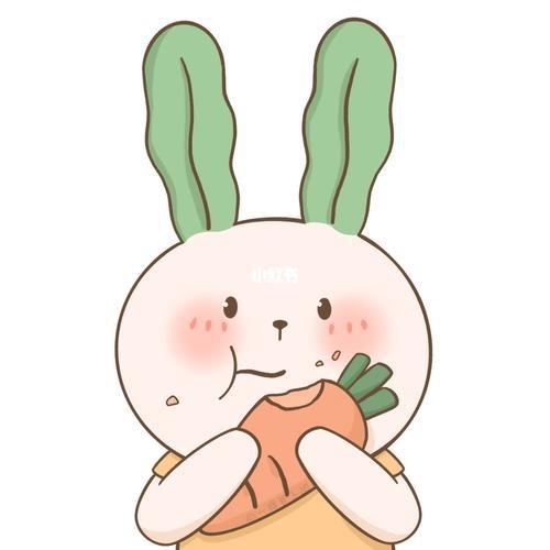 小许逛南京