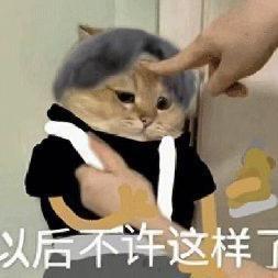 诸葛钢铁的大舅哥