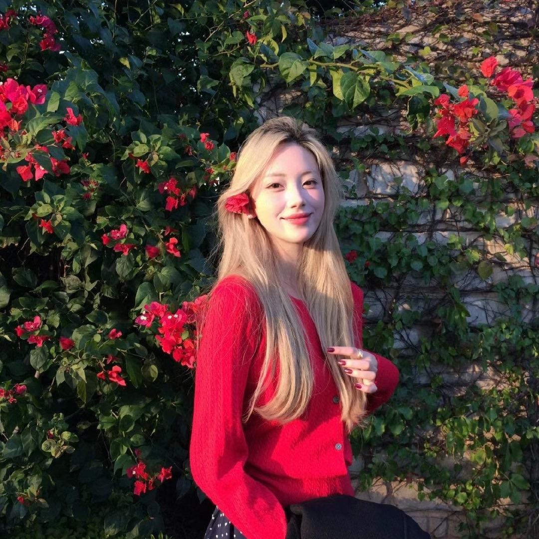 Viki