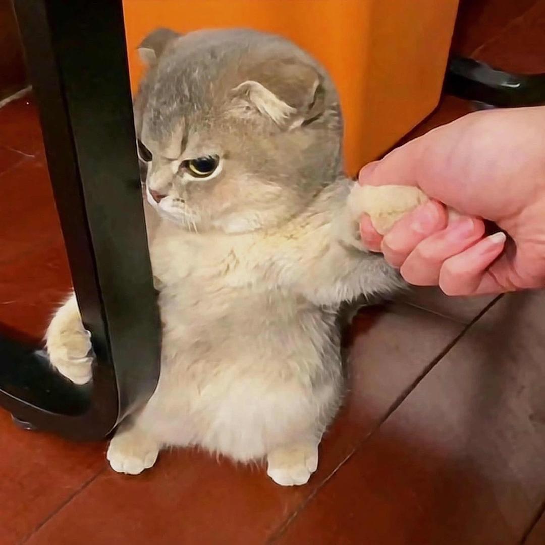一个🧦噻