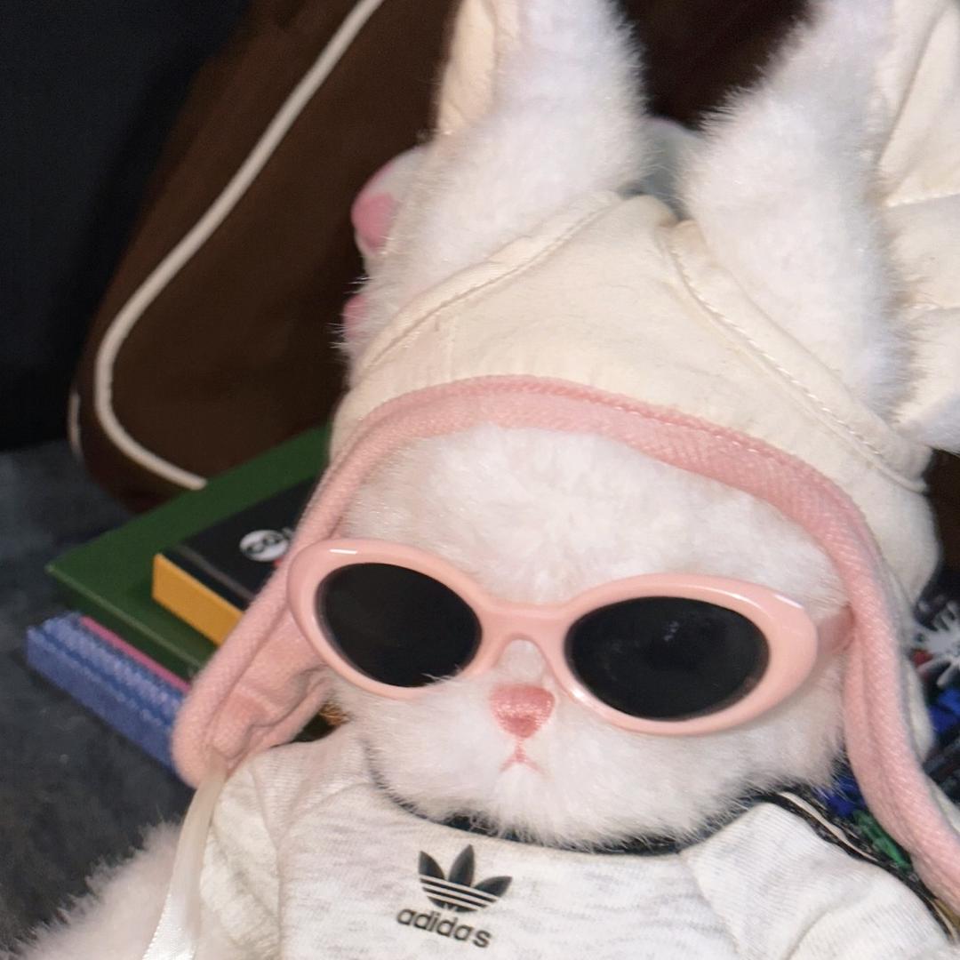 东北大姨（爱破防版）