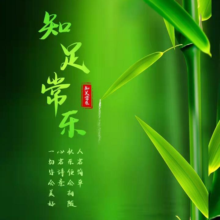 空心菜❤️❤️