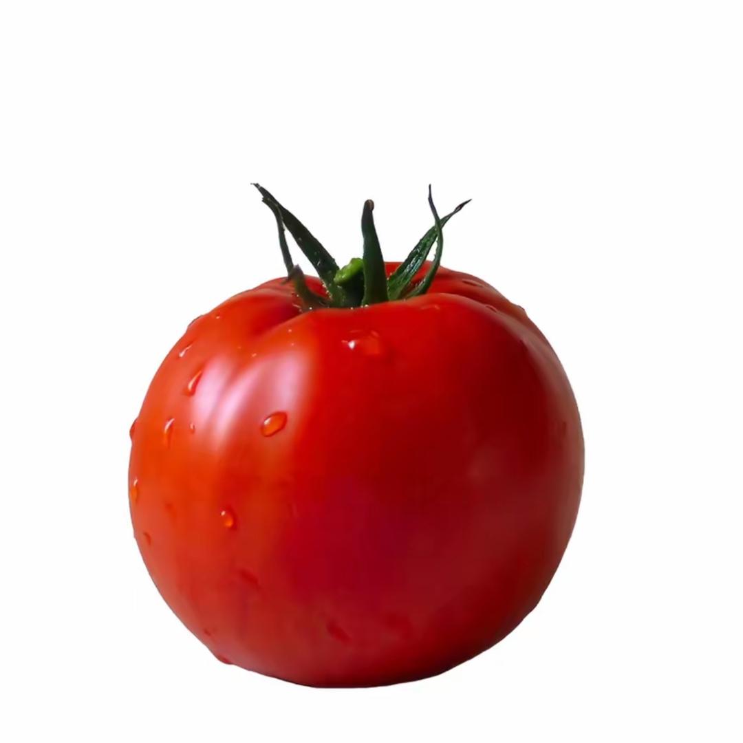 i不吃番茄🍅