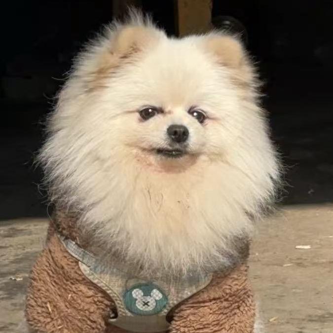 热风邮递员👀