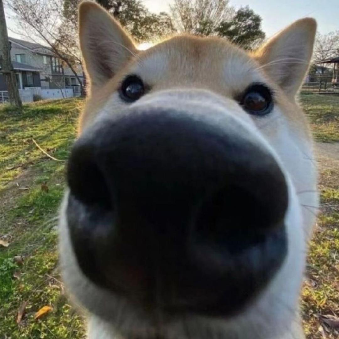 111