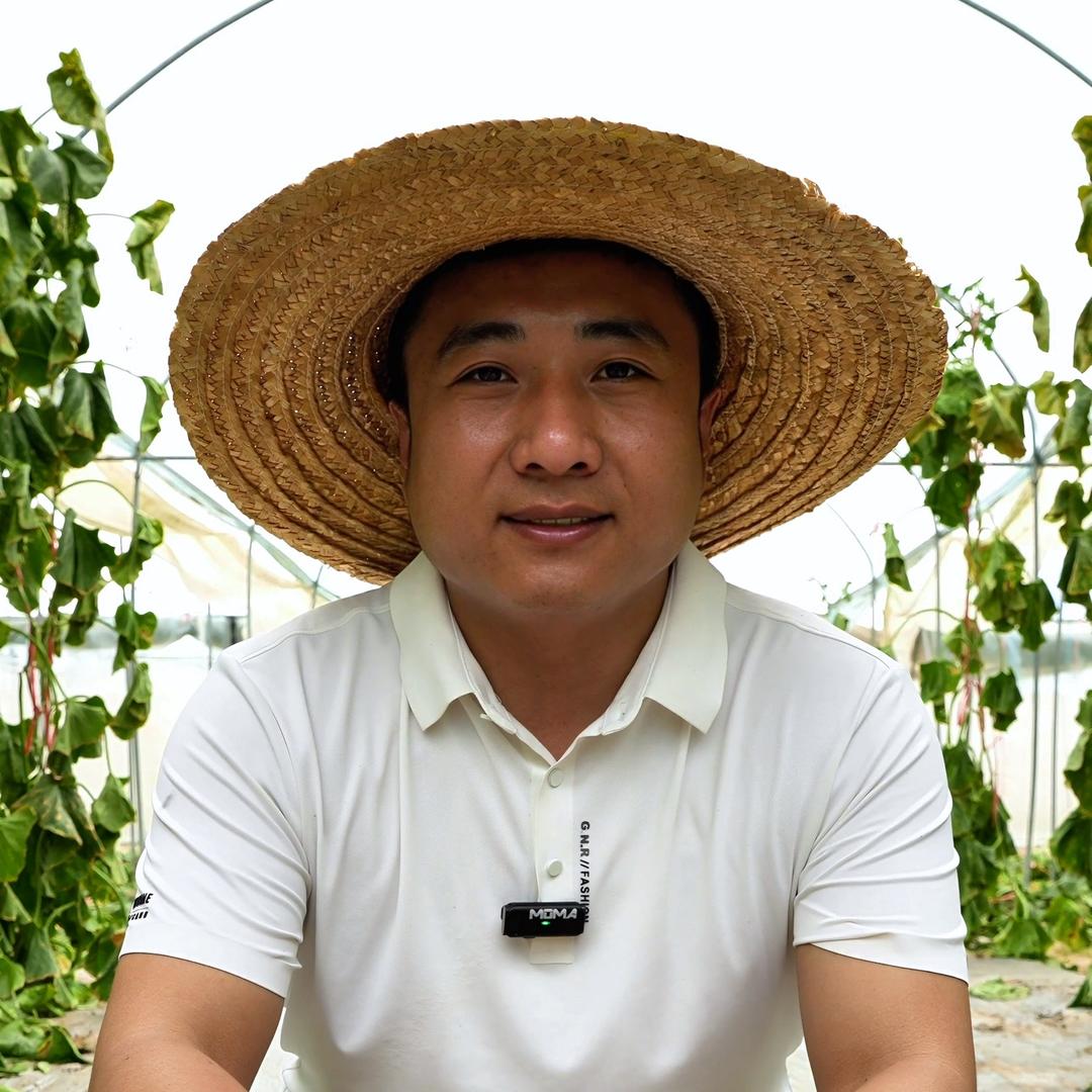 舌尖芬芳果蔬旗舰店