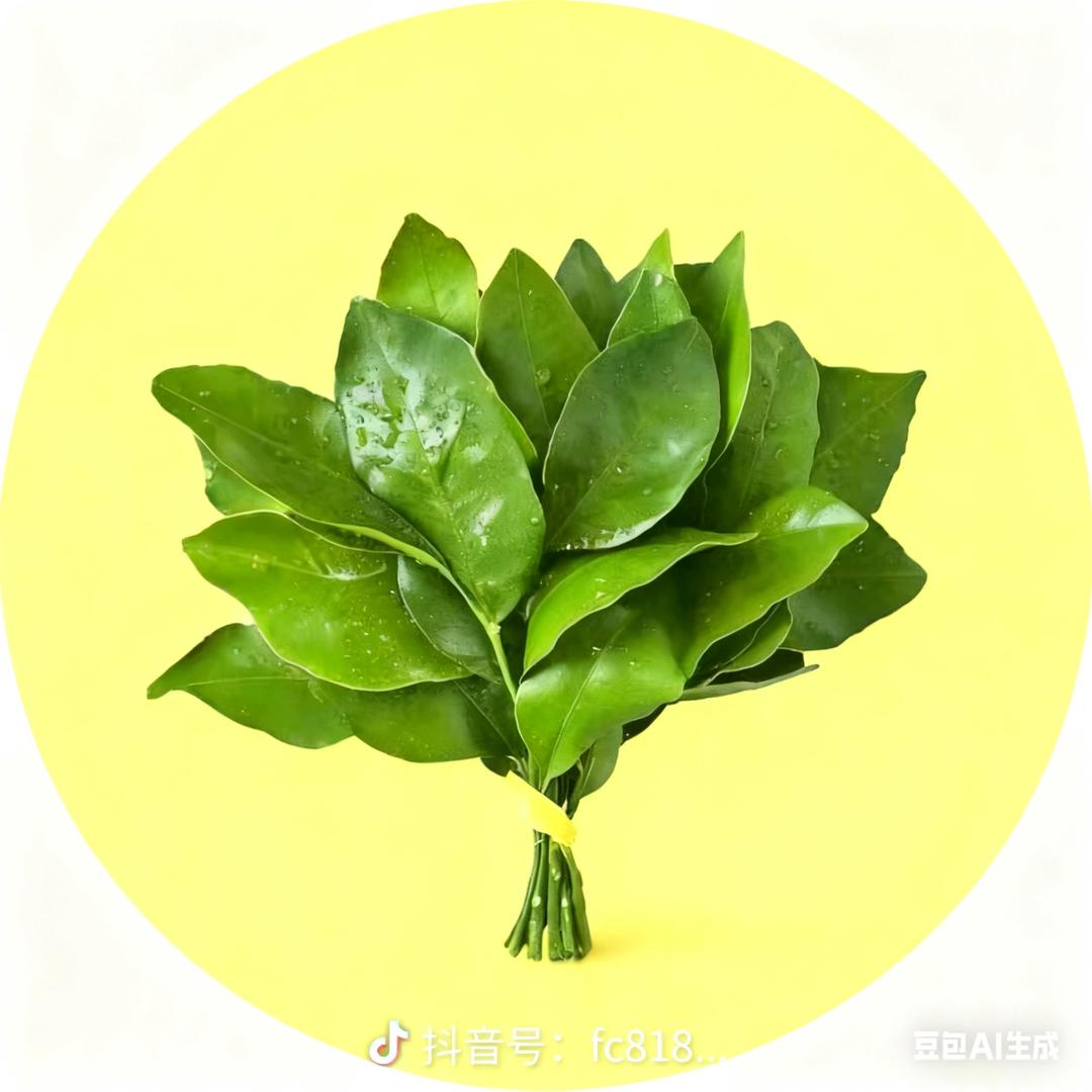 百柿🍅可乐  🧚‍♀️