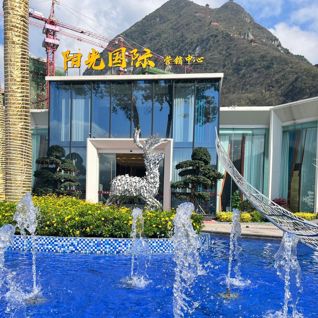 阳光国际