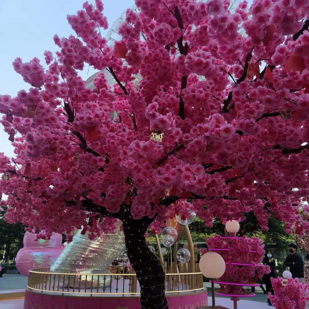 黛黛宫主 🌸