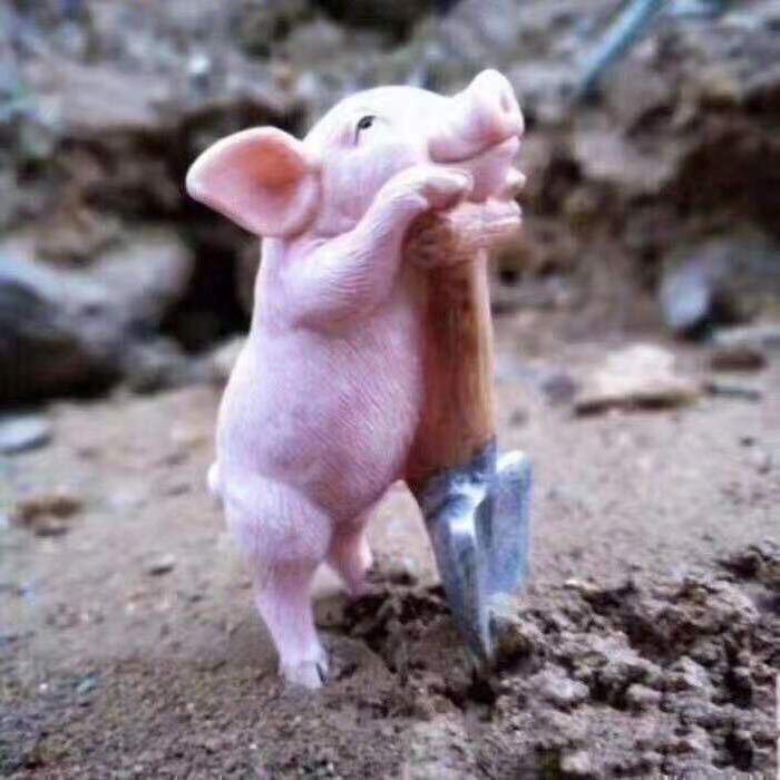 胡同里的驴