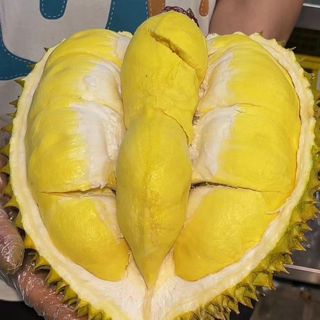 猫山王榴莲屋小时达