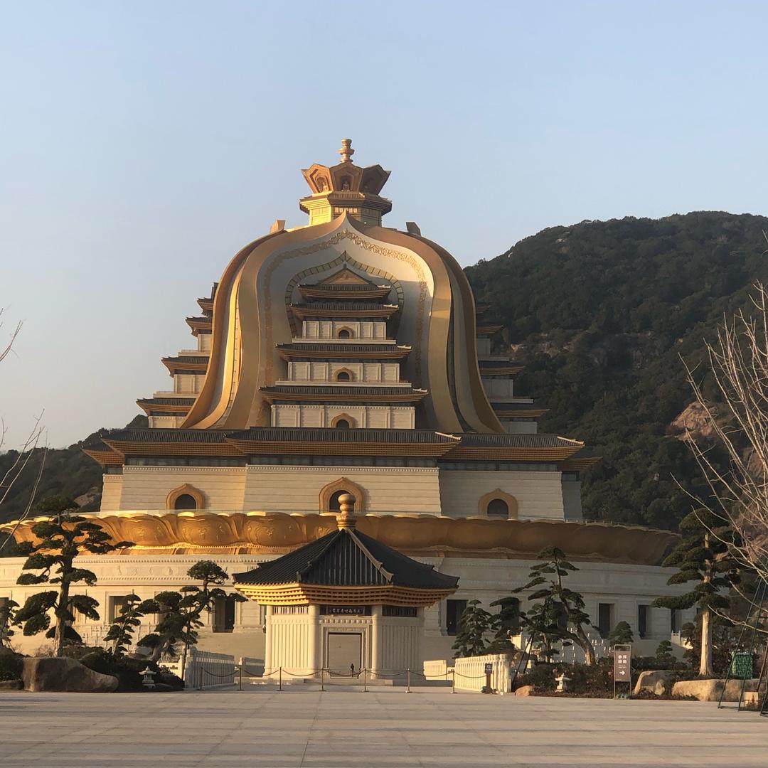 爱吃萝卜的兔兔