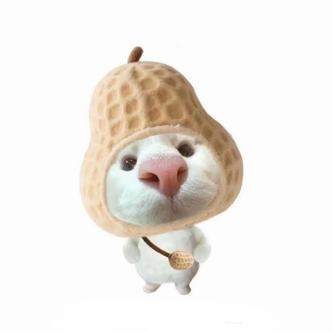 💕..