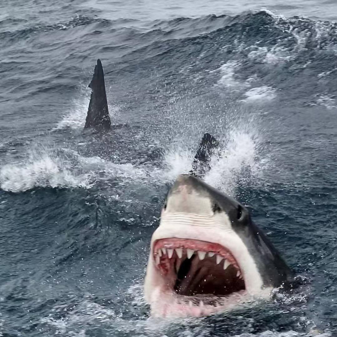 李干嘛（黑屋版）