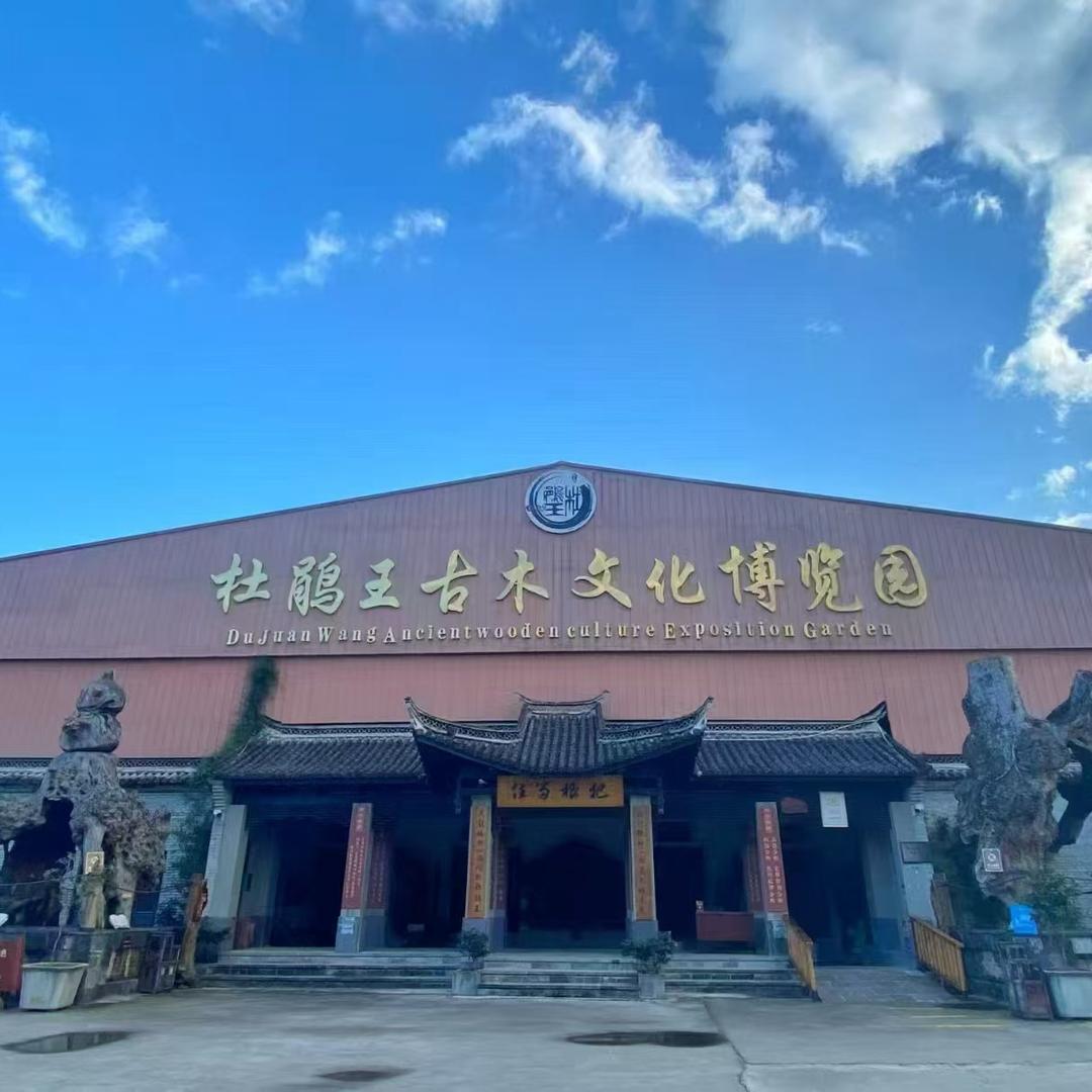 4A古木博物馆3号