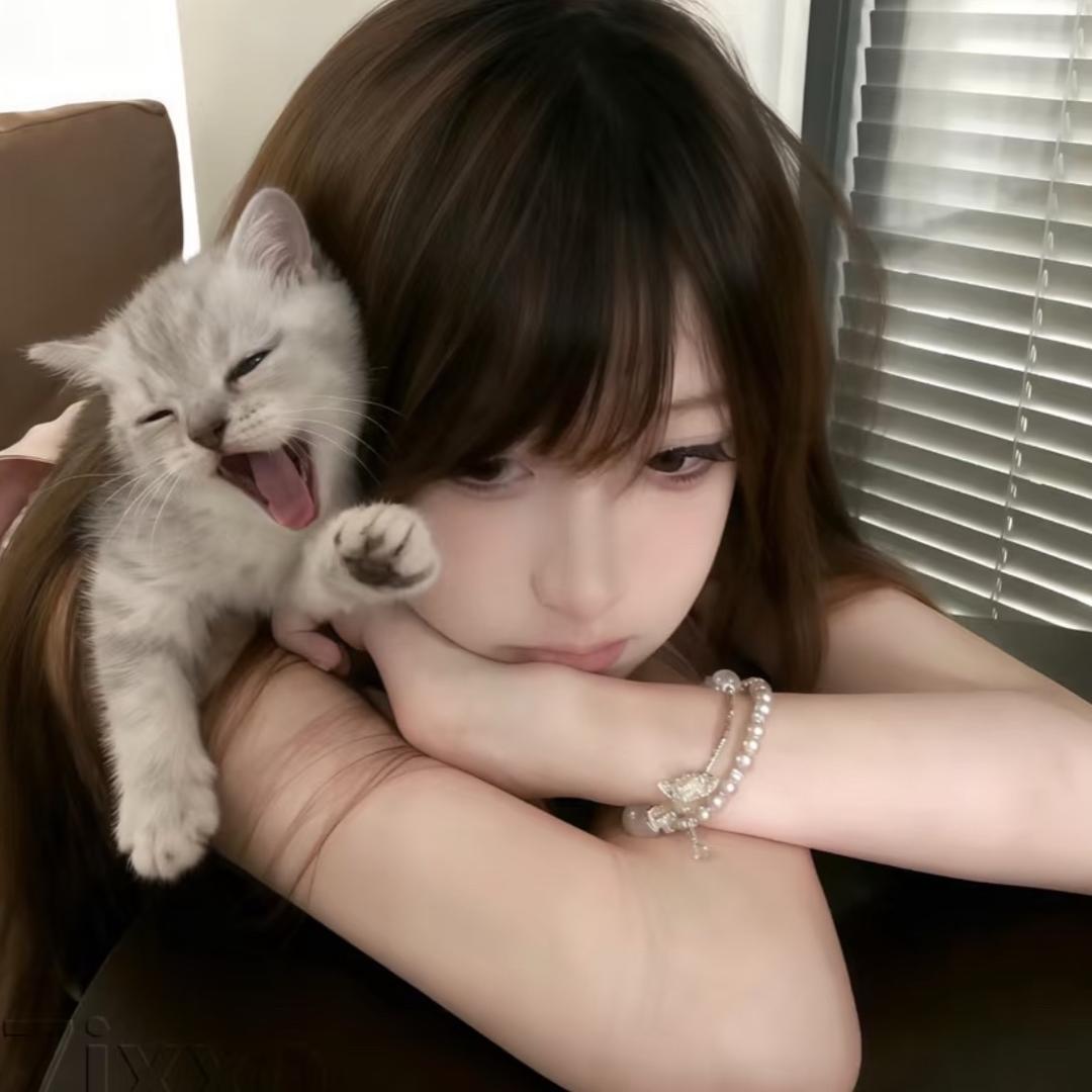 综上所述你是笨蛋