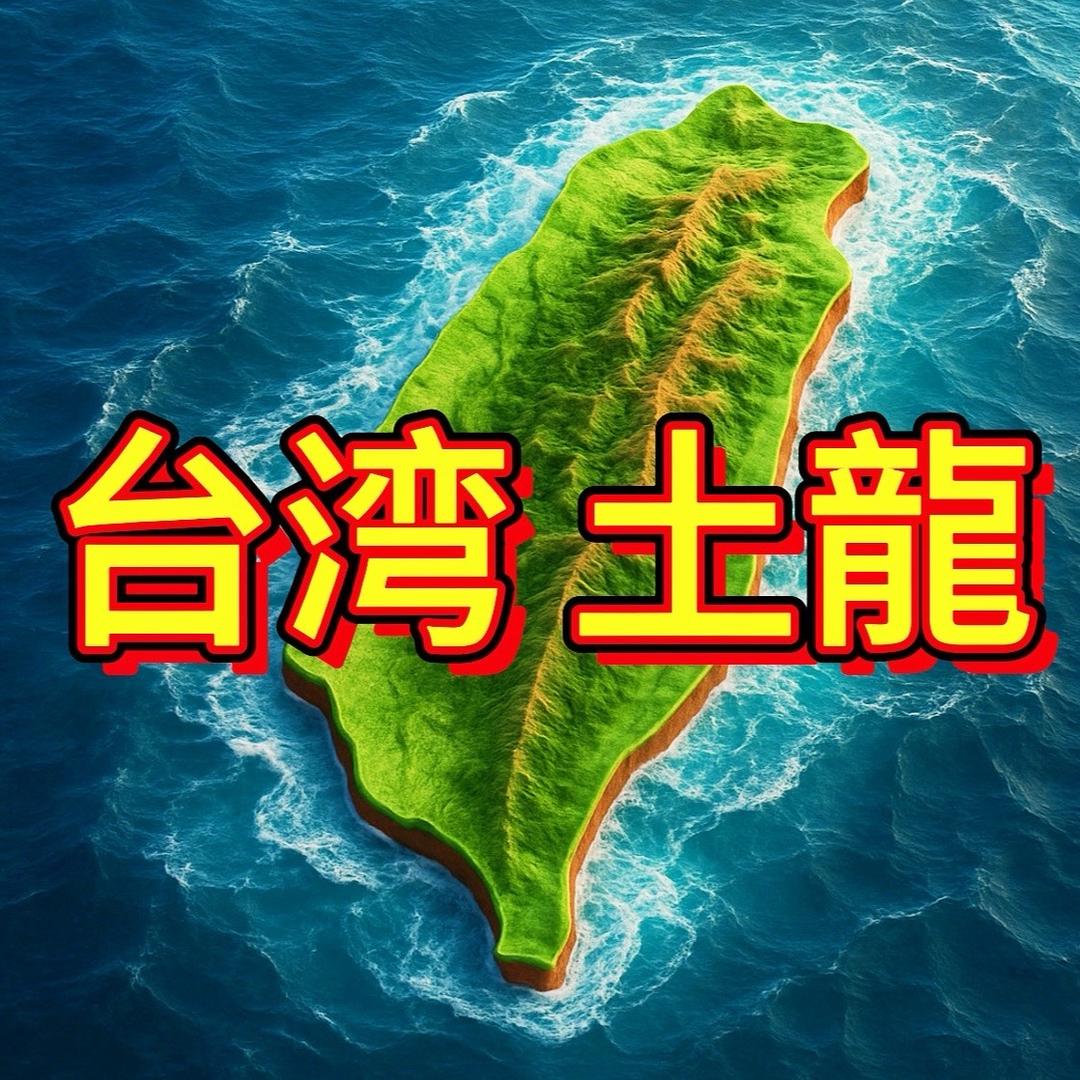 台湾 土龍