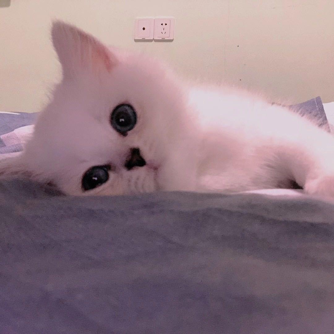 No one can match you