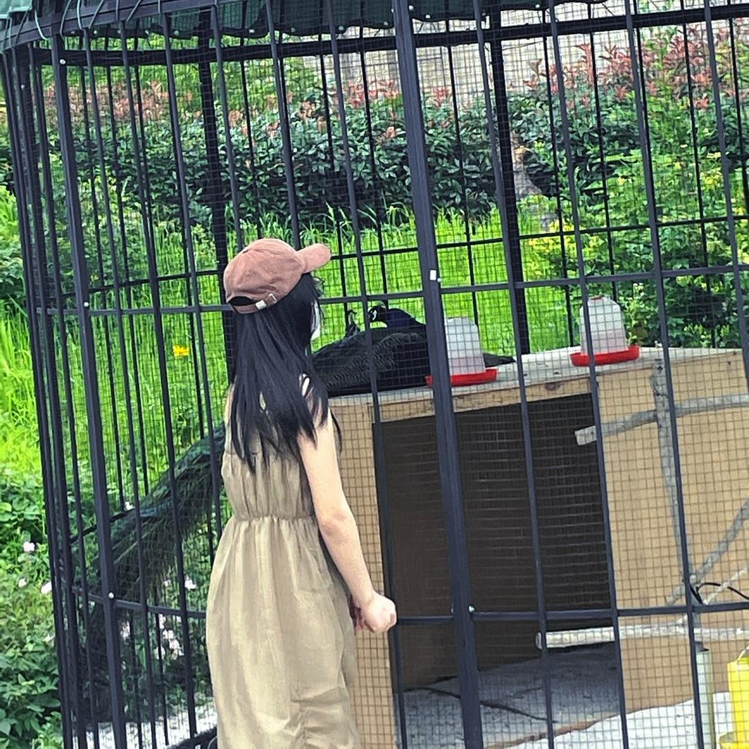小学妹手工