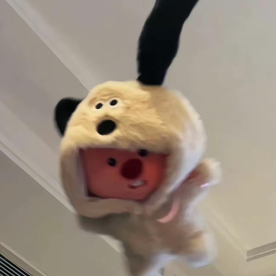 ……………………