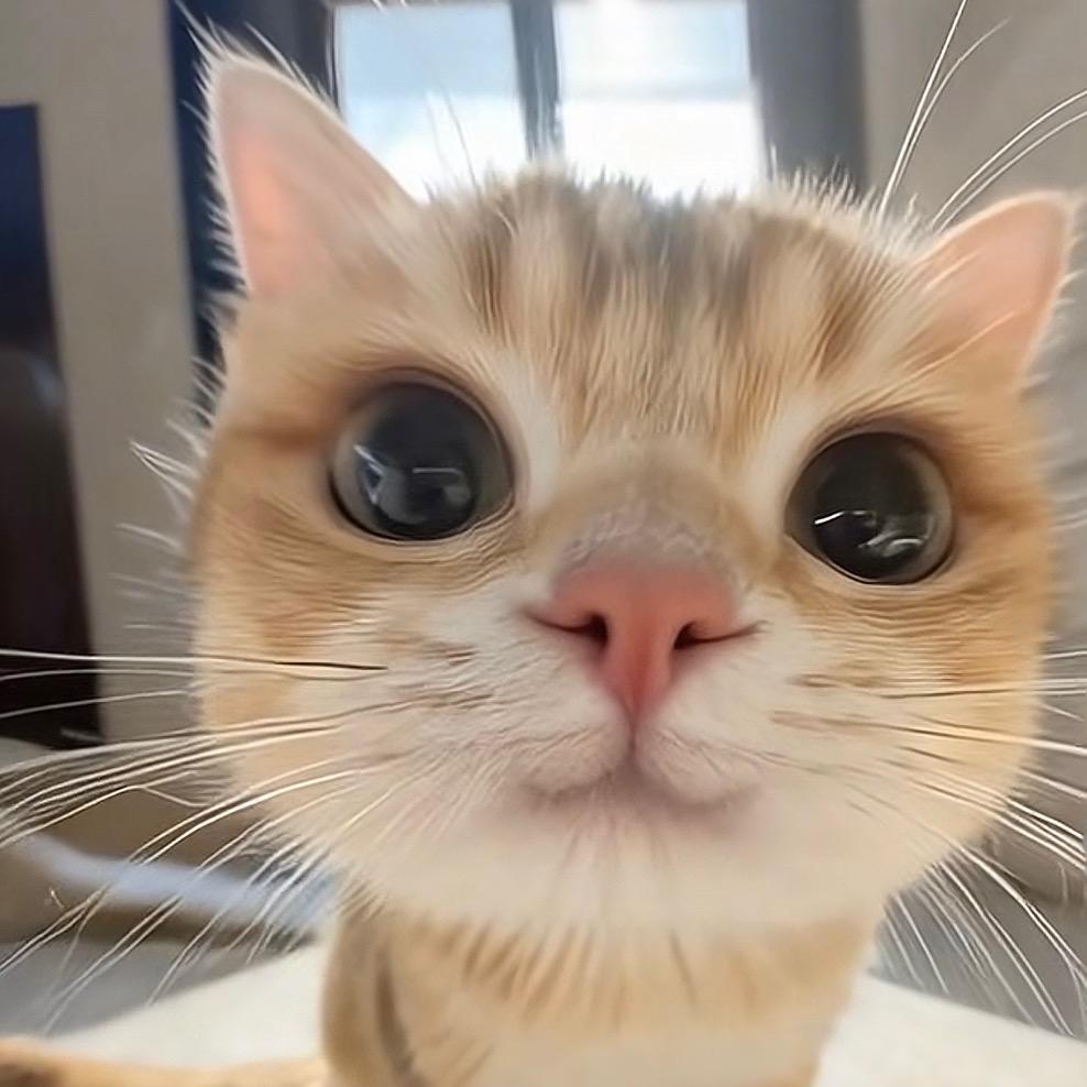 暖馨礼