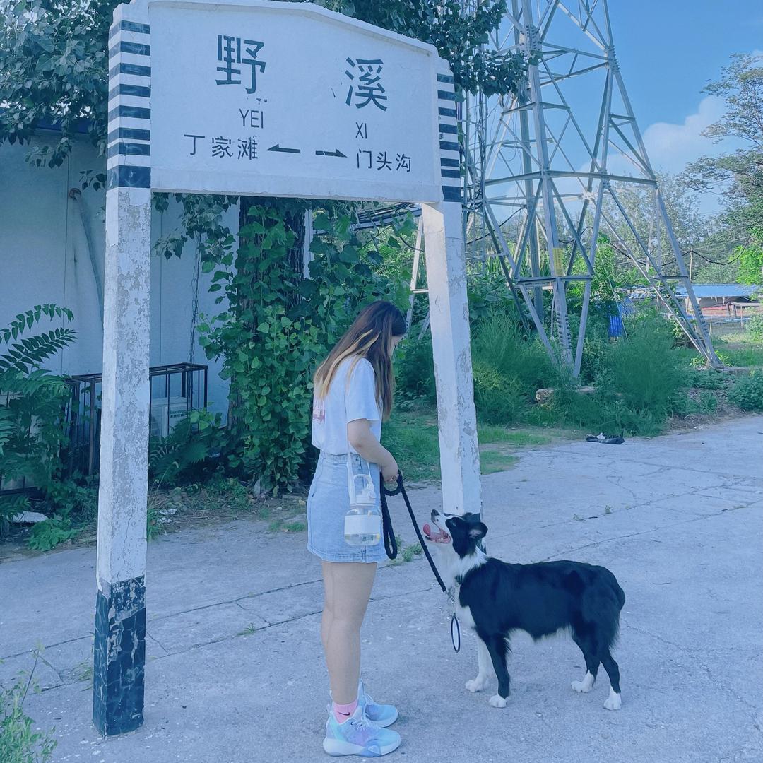 煎饼狗子